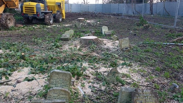 2 - SOUTHWARK COUNCIL DEVELOPING OVER VICTORIAN CAMBERWELL OLD CEMETERY WITH NO ARCHAEOLOGY REPORT