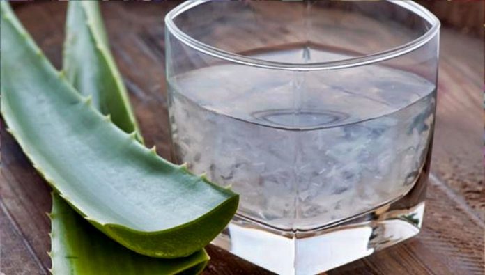 aloe
