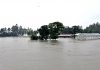 দিনাজপুরে বন্যায় ১৩ জনের মৃত্যু