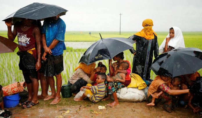 সেল