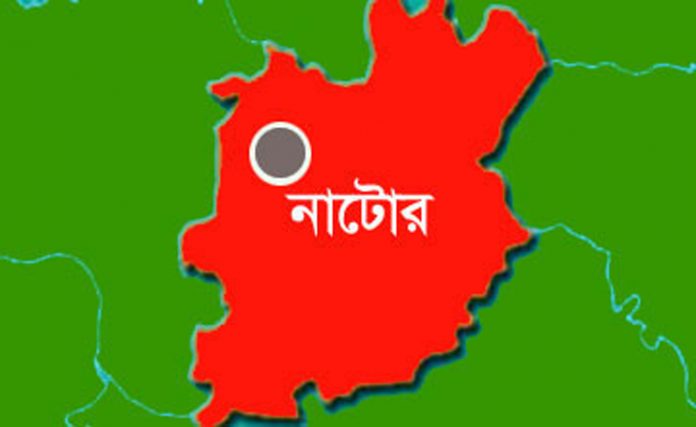 নাটোর