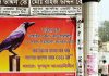 ‘কাউয়ায় করে কা কা, দলের বাজে বারোটা’