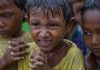৭ লাখ রোহিঙ্গা শিশুর জরুরি সহায়তা প্রয়োজন: ইউনিসেফ