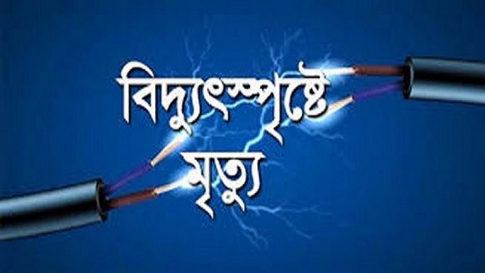 বিদ্যুৎস্পৃষ্ট