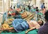 রাজধানীর ঘরে ঘরে ডেঙ্গু জ্বর