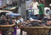 ১০ টাকা দরে কোরবানির চামড়া বিক্রি!
