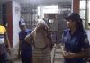 ষষ্ঠ শ্রেণির ছাত্রী অন্তঃসত্ত্বা, বাবা-মা আটক