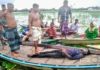 বিদ্যুৎস্পৃষ্টে নৌকার ৫ যাত্রী নিহত