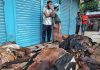 ‘পানির দরে’ কোরবানির পশুর চামড়া