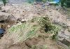 নেপালে ভূমিধসে নিহত ৩