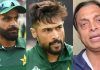 হাফিজের কাছ থেকে আমিরকে শিখতে বললেন শোয়েব