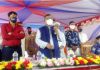১২ বছরের শিক্ষার্থীরা শিগগিরই ফাইজারের টিকা পাবে: স্বাস্থ্যমন্ত্রী