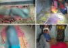 গাবতলীতে ভোট গণনার সময় হামলা, বিজিবির গুলিতে নিহত ৪