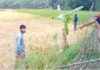 নাইক্ষ্যংছড়ি সীমান্তে ফের গোলাগুলি