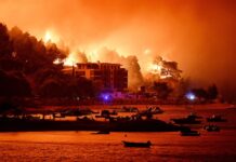 ইউরোপজুড়ে ভয়াবহ দাবানল ফ্রান্সে পাঁচ শতাধিক গ্রেপ্তার