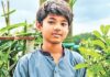 নিখোঁজ থেকে মরদেহ উদ্ধার—এজাহারে অপ্রতিমকে ঘিরে ২২ ঘণ্টার বর্ণনা